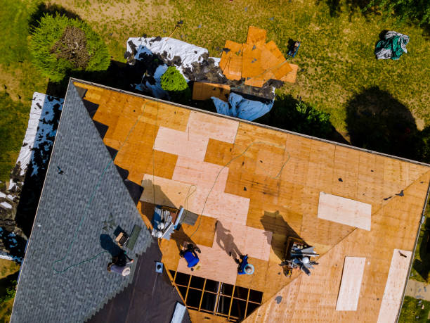 Best Storm Damage Roof Repair  in Houghton Lake, MI