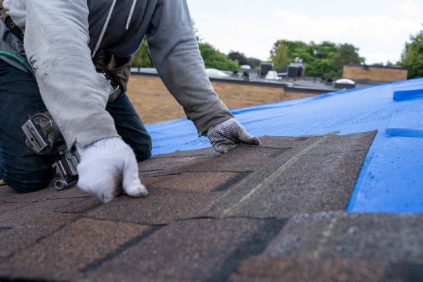 Best Affordable Roofing Company  in Houghton Lake, MI