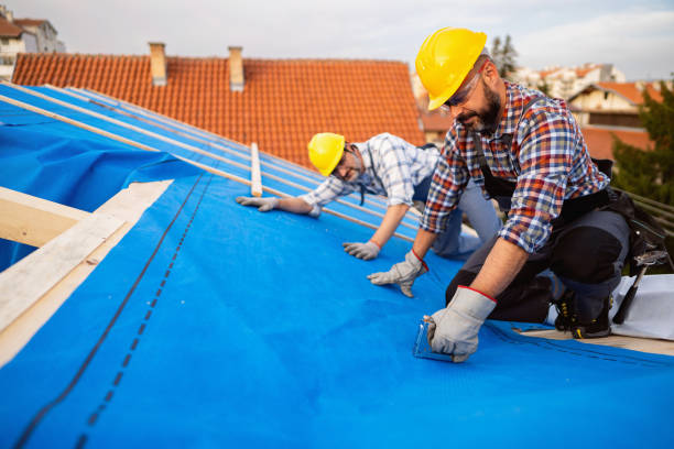 Best Roof Gutter Cleaning  in Houghton Lake, MI